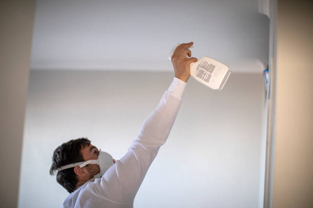 Certified Mold Removal in Lacy Lakeview, TX